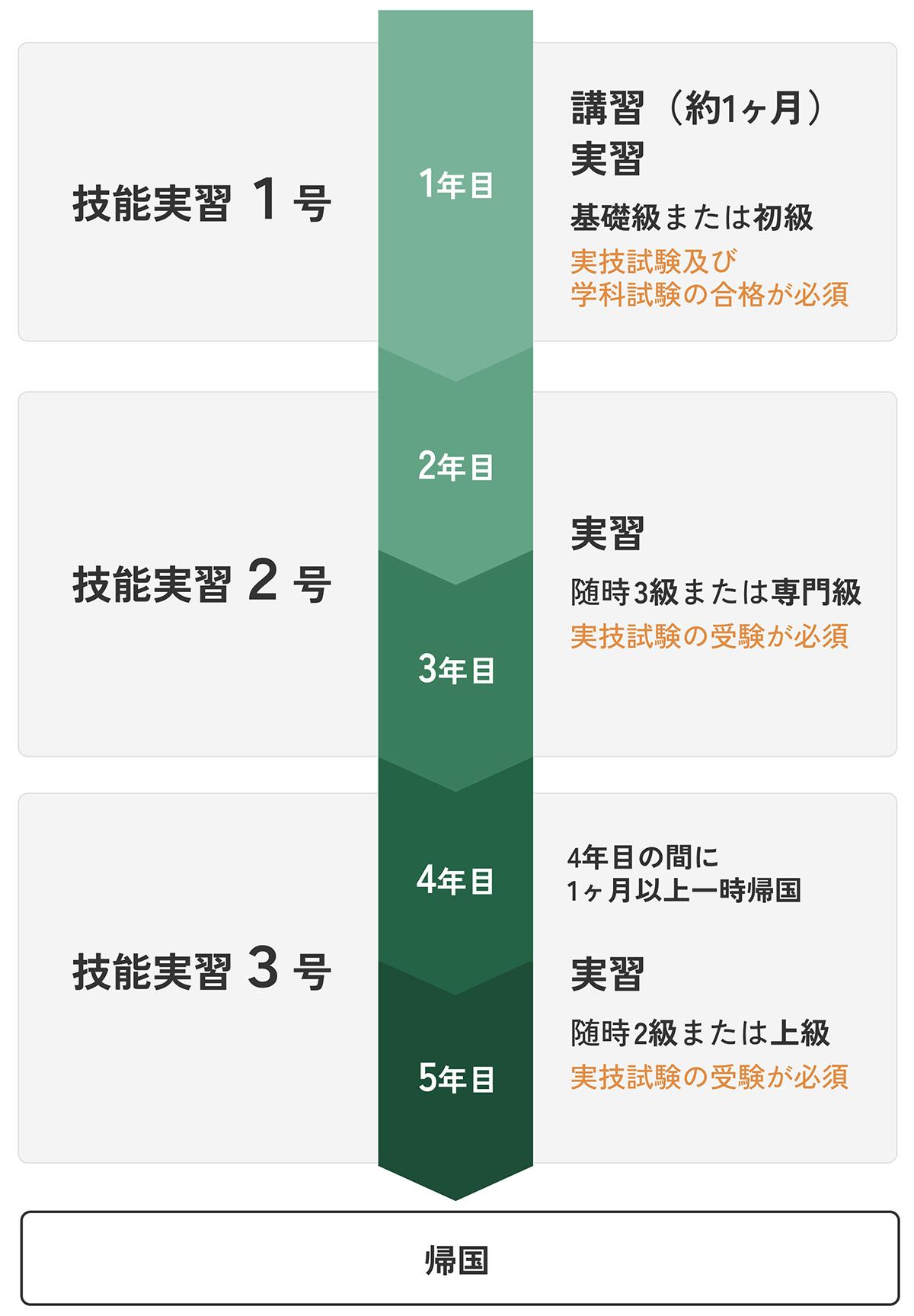 入国後～帰国の流れ