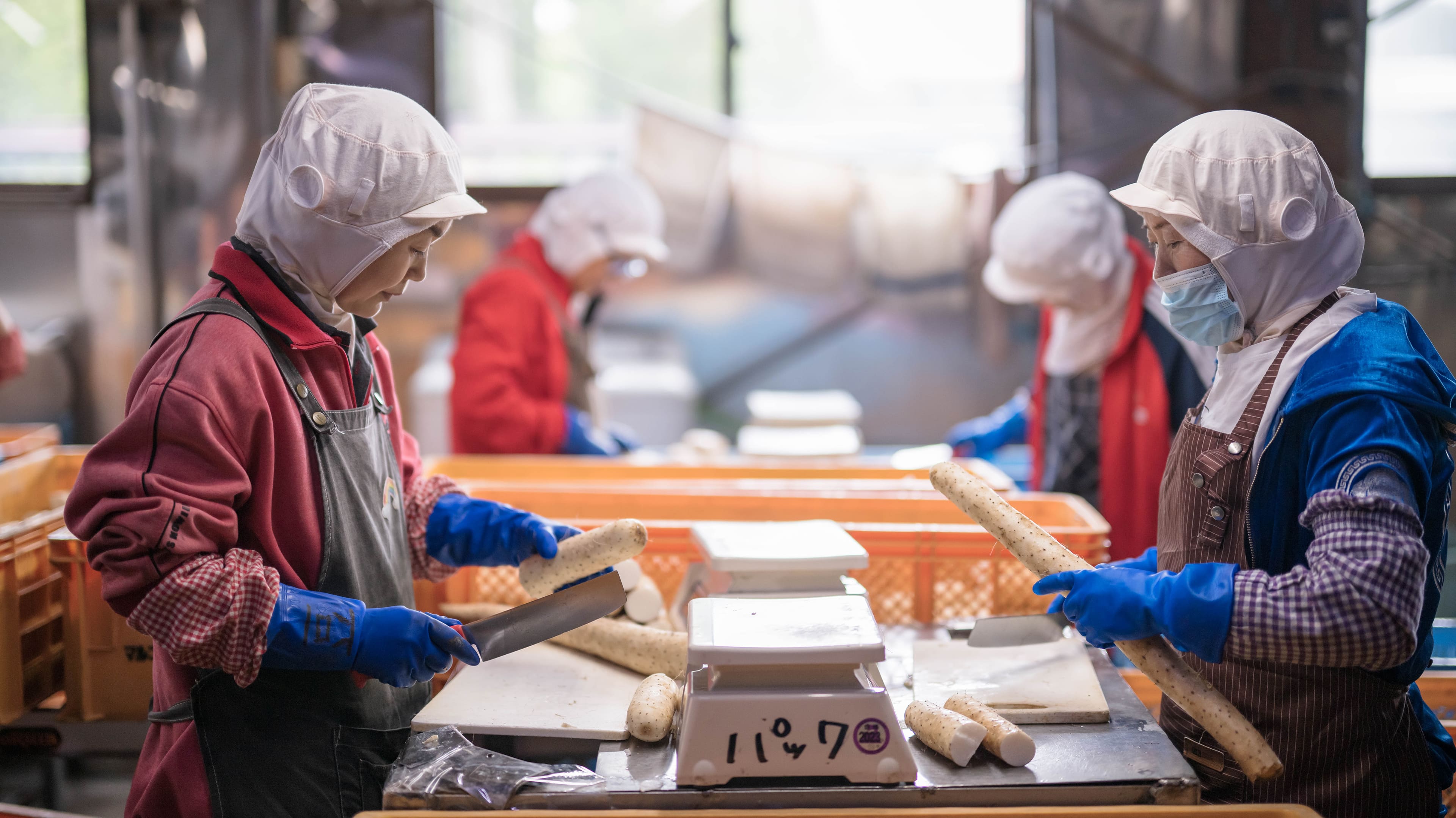 ファーストビューのイメージ画像