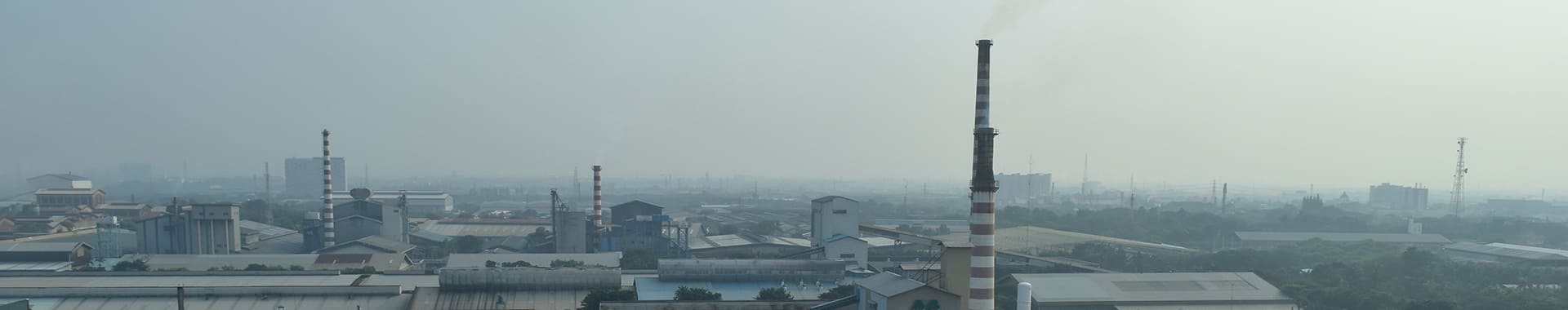 NEWSファーストビュー